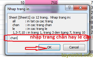 Cách in hai mặt chẵn lẽ trong Excel 2007, 2010, 2013