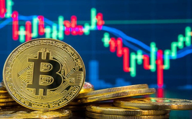 Việt Nam dẫn đầu khảo sát về tỷ lệ người đầu tư tiền mã hóa